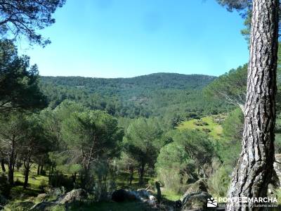 Valle de la Pizarra y los Brajales - Cebreros; calas alicante nieve en madrid trekking y aventura